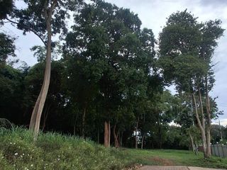 For rent land in Si Racha, Chonburi