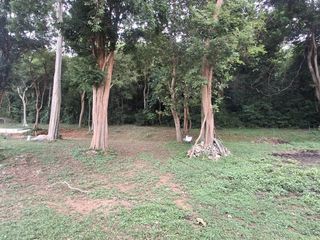 For rent land in Si Racha, Chonburi