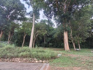 For rent land in Si Racha, Chonburi