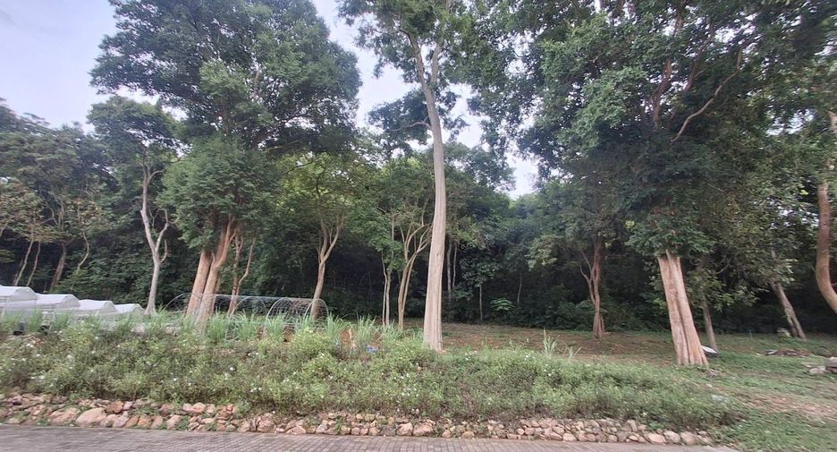 For rent land in Si Racha, Chonburi
