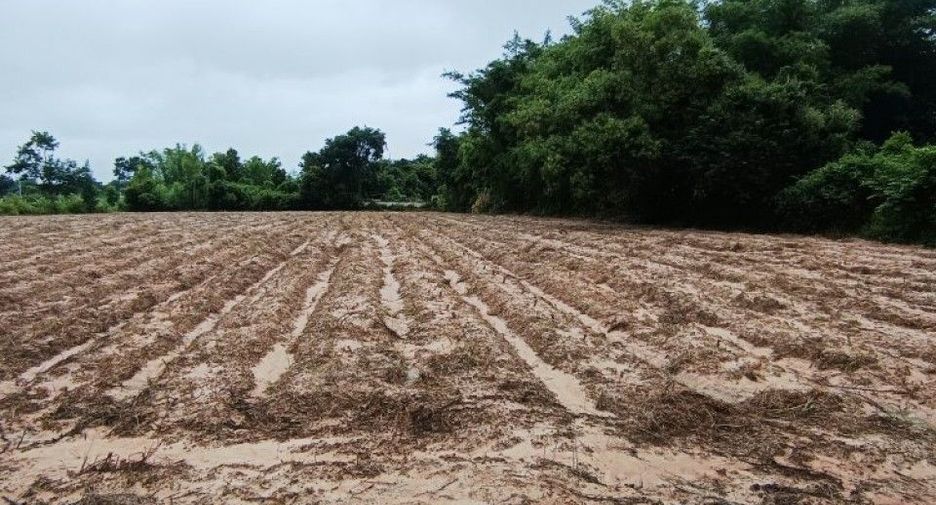 For sale land in Sawang Daen Din, Sakon Nakhon