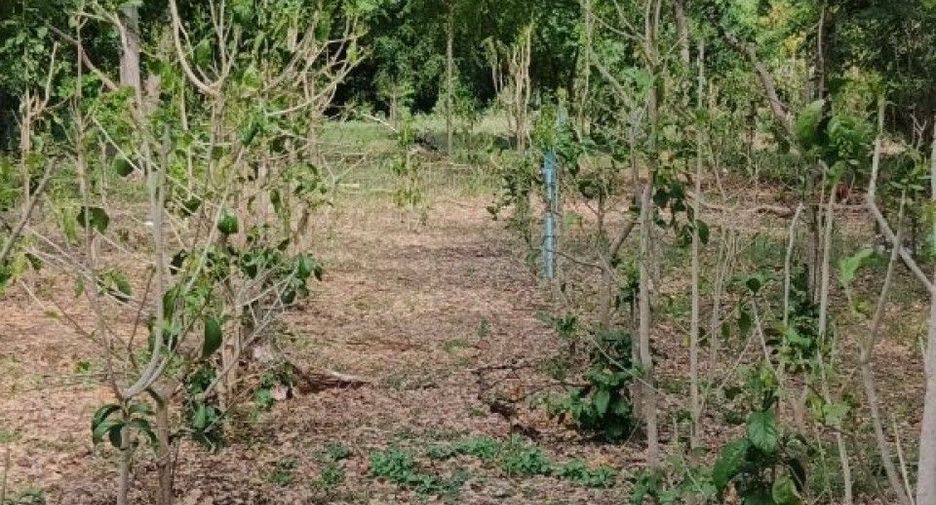 For sale land in Ban Mo, Saraburi