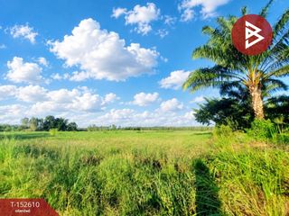 Grundstück zum Kauf in Rattanawapi, Nong Khai