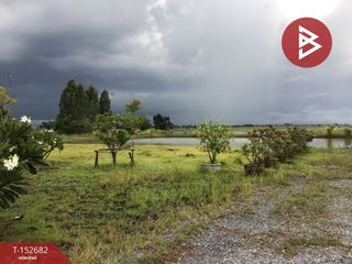 For sale land in Bang Pla Ma, Suphan Buri