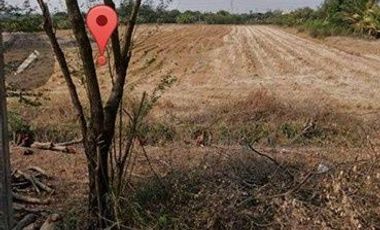 Terreno en venta en Sai Noi, Nonthaburi