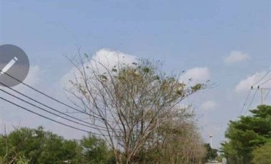 Terreno en venta en Sai Noi, Nonthaburi