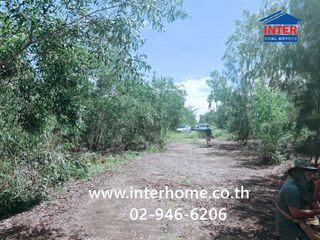 For sale land in Sena, Phra Nakhon Si Ayutthaya