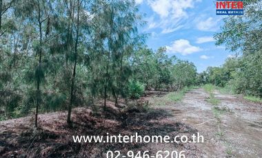 Terreno en venta en Sena, Phra Nakhon Si Ayutthaya