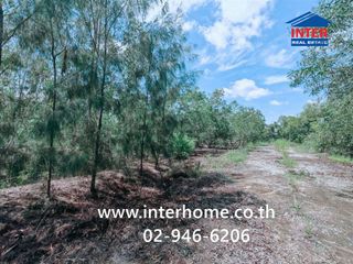 For sale land in Sena, Phra Nakhon Si Ayutthaya