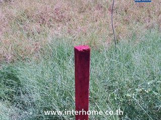 For sale land in Sena, Phra Nakhon Si Ayutthaya