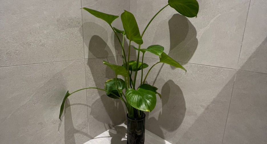 For sale 3 bedrooms condo in Watthana, Bangkok