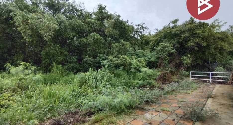 For sale land in Song Phi Nong, Suphan Buri