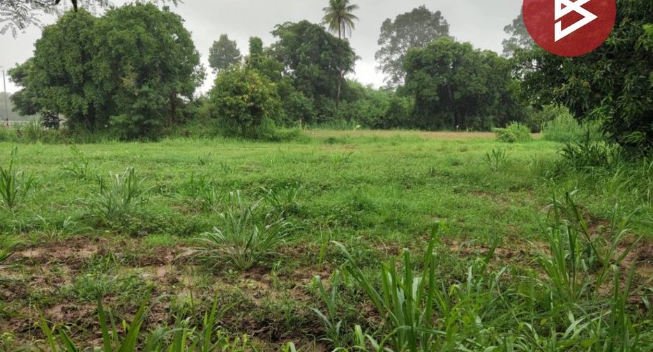 For sale land in Song Phi Nong, Suphan Buri