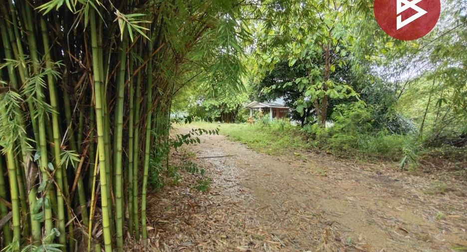 For sale land in Song Phi Nong, Suphan Buri