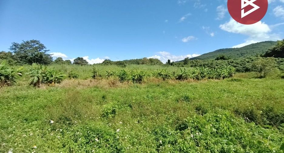 For sale land in Chiang Klang, Nan