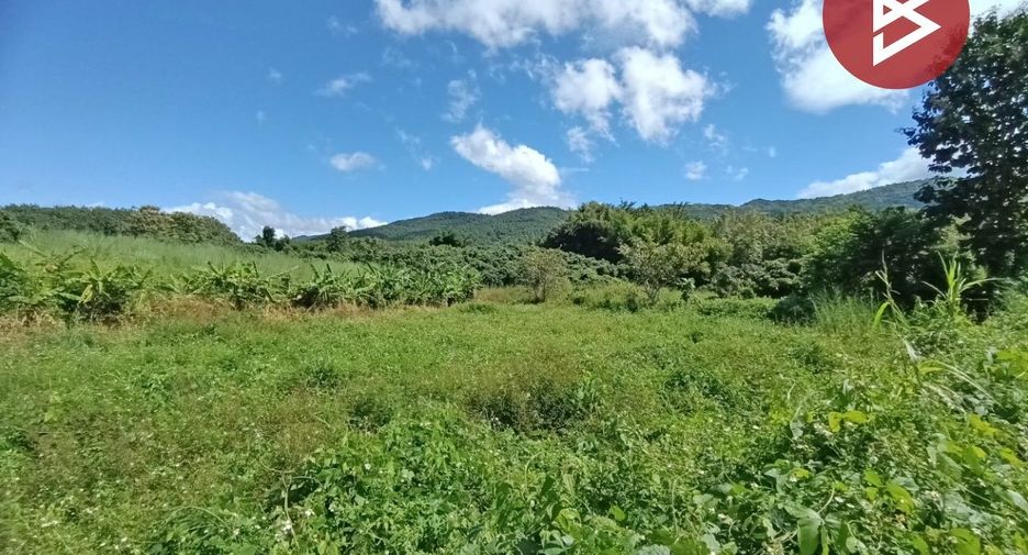For sale land in Chiang Klang, Nan