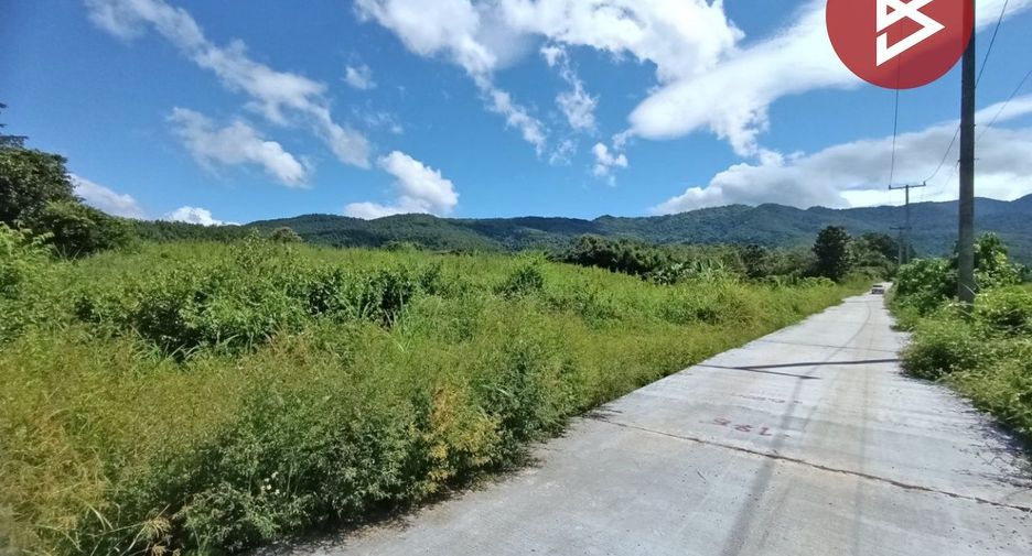 For sale land in Chiang Klang, Nan