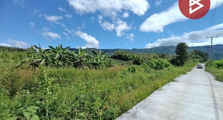 For sale land in Chiang Klang, Nan