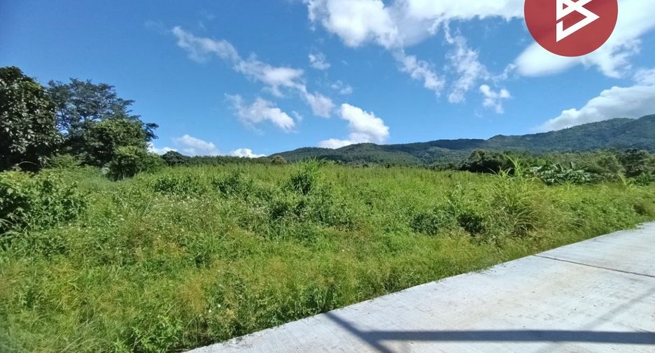 For sale land in Chiang Klang, Nan