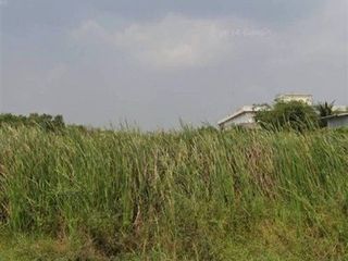For sale land in Phutthamonthon, Nakhon Pathom