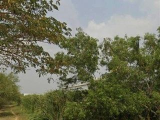 For sale land in Phutthamonthon, Nakhon Pathom