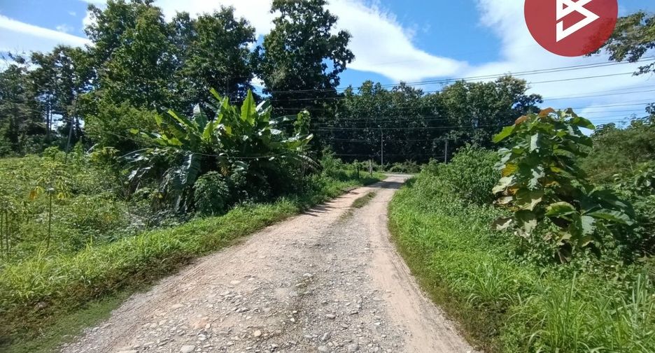 Grundstück zum Kauf in Chiang Klang, Nan