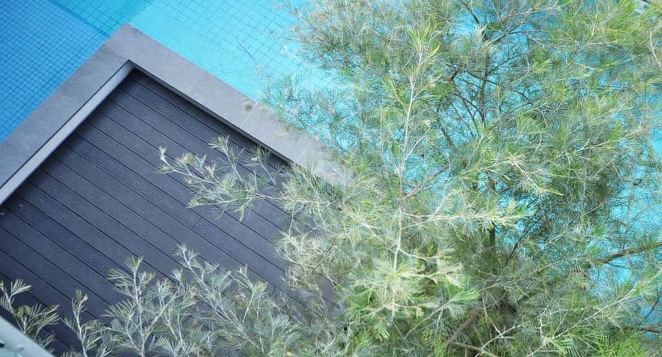 For rent and for sale 4 bedrooms house in Hang Dong, Chiang Mai
