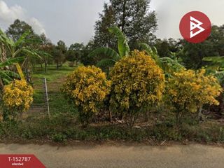 For sale land in Mueang Rayong, Rayong