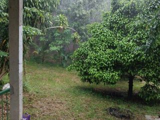 For sale land in Mueang Rayong, Rayong