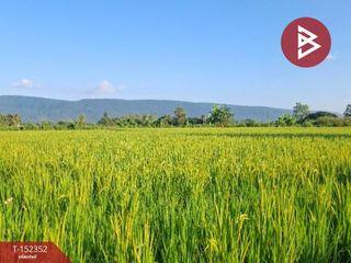 For sale land in Phan, Chiang Rai