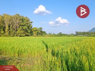 For sale land in Phan, Chiang Rai