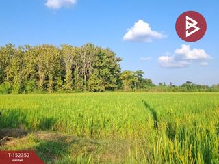 For sale land in Phan, Chiang Rai