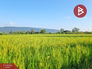 For sale land in Phan, Chiang Rai