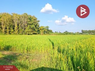 For sale land in Phan, Chiang Rai