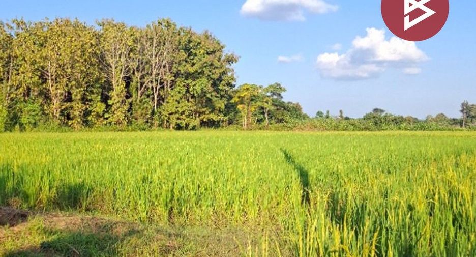 For sale land in Phan, Chiang Rai