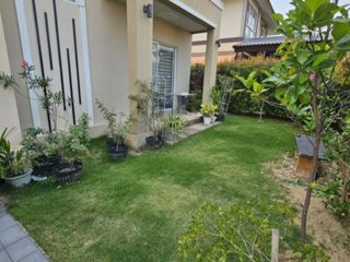 出租 4 卧室 独立屋 在 Mae Rim, Chiang Mai