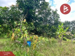 Terreno en venta en Sikhio, Nakhon Ratchasima