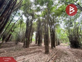 Terreno en venta en Sikhio, Nakhon Ratchasima