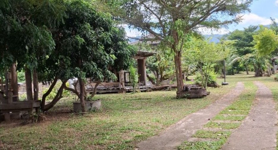 For sale land in Khun Tan, Chiang Rai