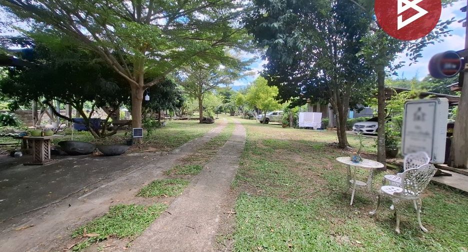 For sale land in Khun Tan, Chiang Rai