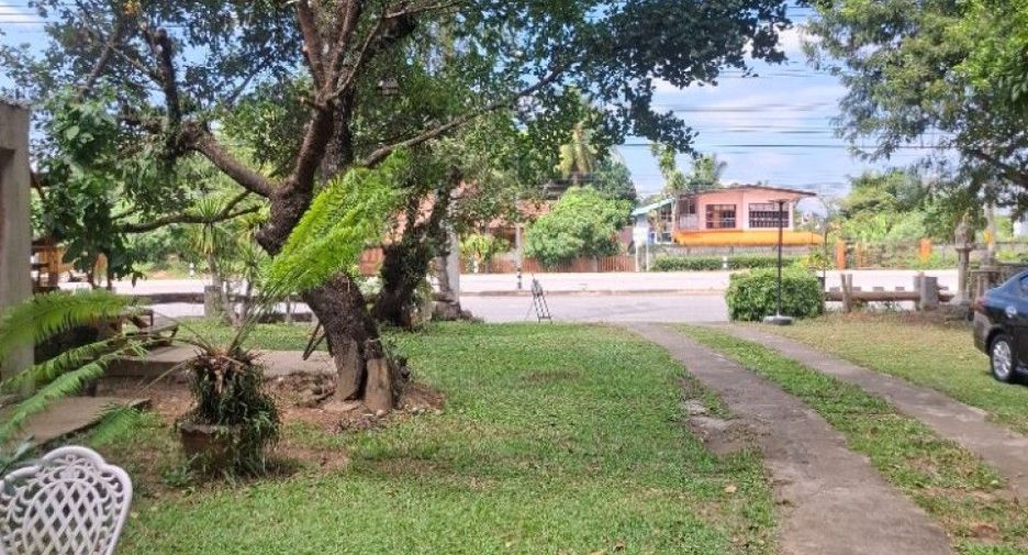 For sale land in Khun Tan, Chiang Rai