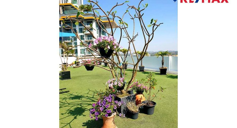 For sale studio condo in Jomtien, Pattaya