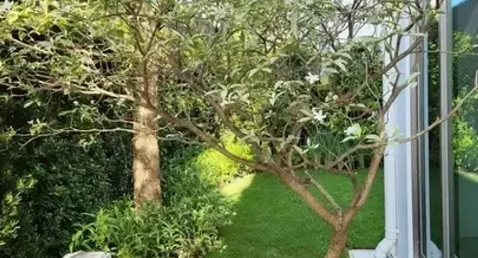 For rent 3 bedrooms house in Saphan Sung, Bangkok
