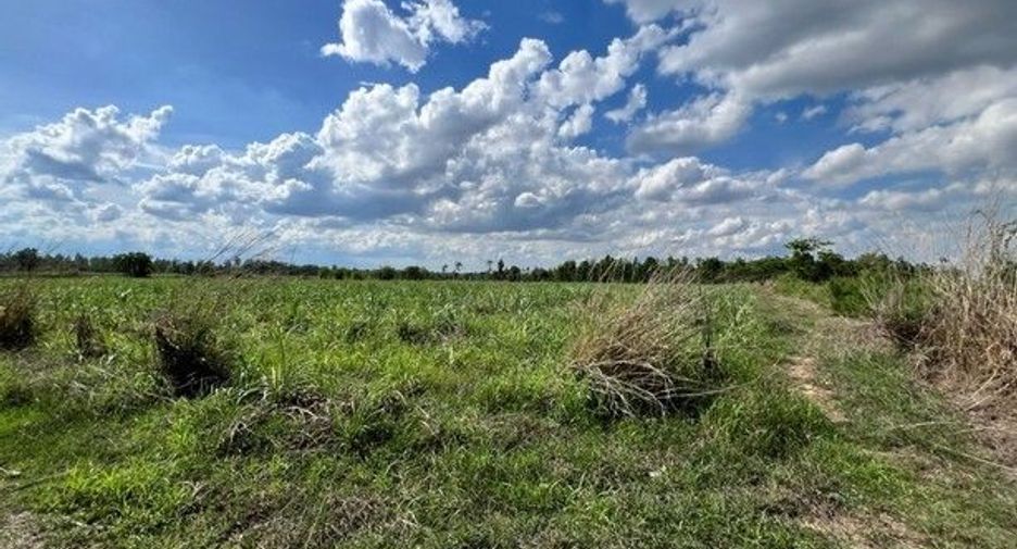 Terreno en venta en Nong Han, Udon Thani