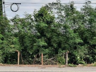 Terreno en venta en Mueang Nongbua Lamphu, Nong Bua Lamphu