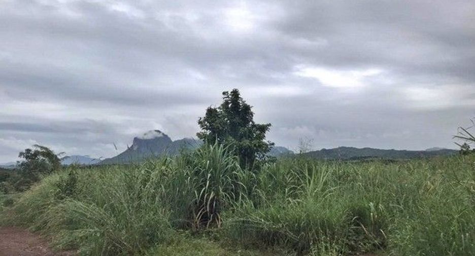 Продажа Участок в Mueang Loei, Loei