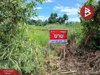 For sale land in Mueang Nakhon Phanom, Nakhon Phanom