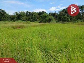 For sale land in Mueang Nakhon Phanom, Nakhon Phanom