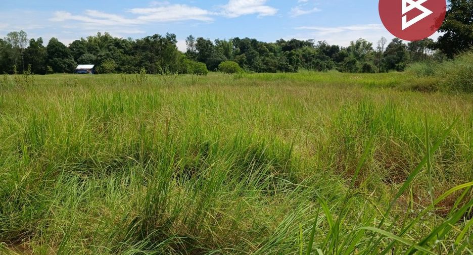 For sale land in Mueang Nakhon Phanom, Nakhon Phanom