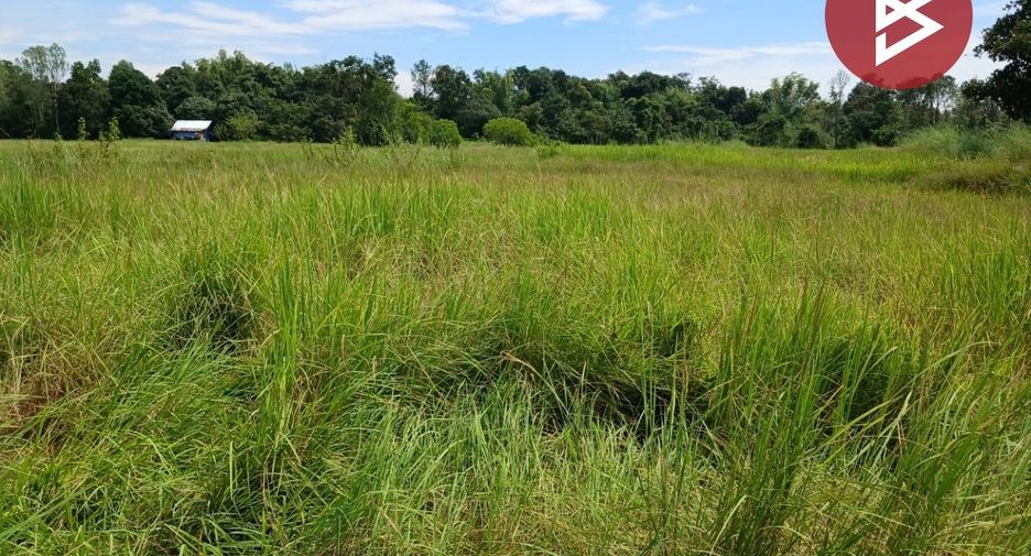 For sale land in Mueang Nakhon Phanom, Nakhon Phanom